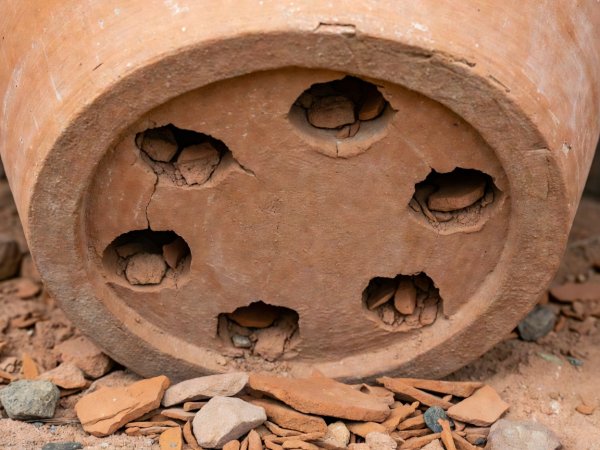 Close view of the bottom of a large terracotta pot showing wide drainage holes